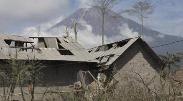 Korban Meninggal Akibat Bencana Gunung Semeru 39 Orang