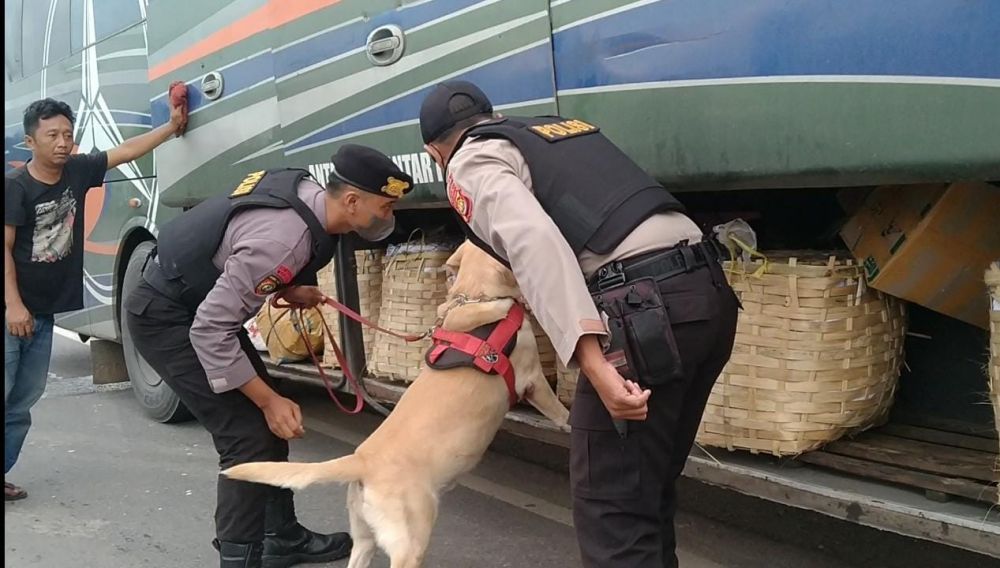 Tim Gabungan Polda Jambi Amankan Sopir dan Kernet Bus ALS Positif Gunakan Narkoba