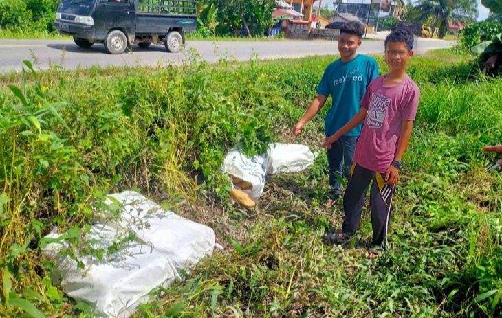 Polisi Amankan 80 Kilo Ganja Tak Bertuan di Pinggir Jalan Lintas Sumatera