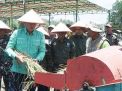 Bupati Batanghari menghadiri sekaligus melakukan Panen Raya Padi Sawah Kelompok Tani Sinar Fajar dan Sumber Mulyo