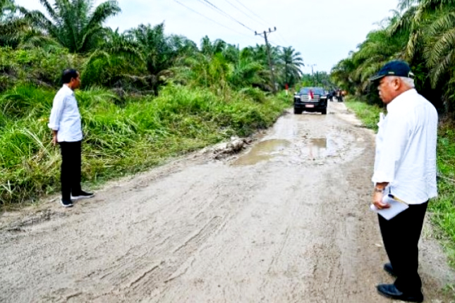 Jokowi Tinjau Kondisi Jalan di Labuhanbatu Utara