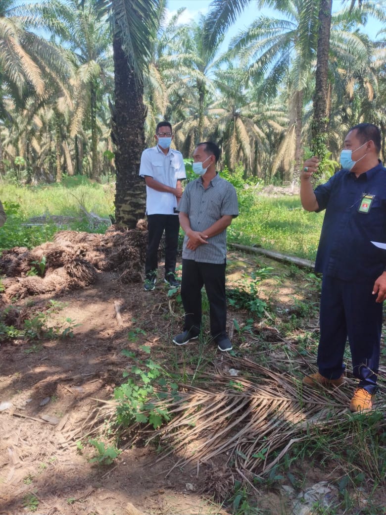 Pemenang Lelang Kredit Macet Masimun Minta Dana 290 Juta Dari 8 Orang