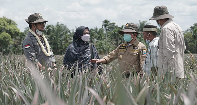 Menteri Pertanian RI Puji Gubernur Jambi Terkait Hasil Pertanian