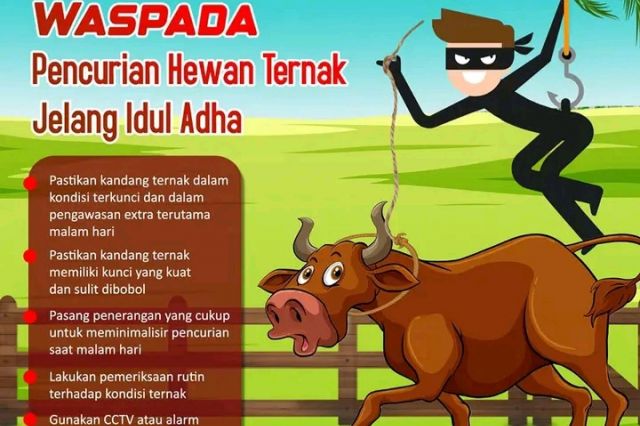 Waspada Pencurian Hewan Ternak Jelang Idul Adha