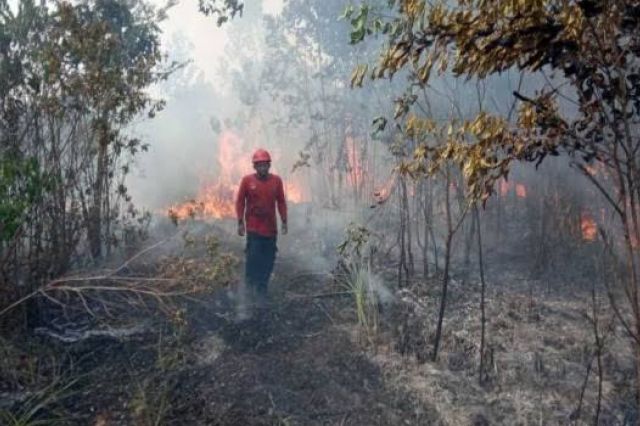 Cegah Karhutla, Karang Taruna Kecamatan Mestong Edukasi Warga Melalui Program Pondok Meja Luar Ruangan