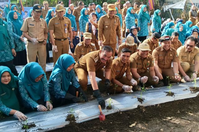 Tekan Inflasi Daerah, Pj Bupati Asraf Canangkan Tanam Cabai Serentak di Kebun PKK Pulau Tengah Kerinci