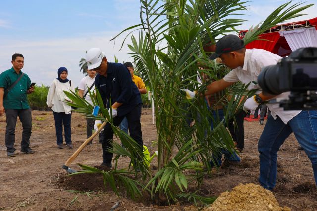 Target 60.000 Ha Peremajaan, Begini Cara PalmCo Gandeng Semua Petani Sawit Indonesia