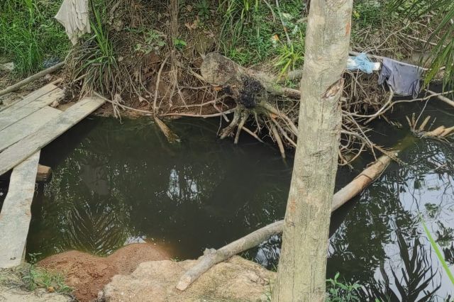 Ikan Pada Mati di Sepanjang Aliran Sungai Deras di Desa Sungai Buluh, di Duga Akibat Limbah dari Perusahaan