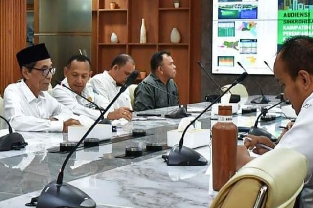 Wakil bupati batanghari audiensi bersama kementrian ppn/Bappenas RI