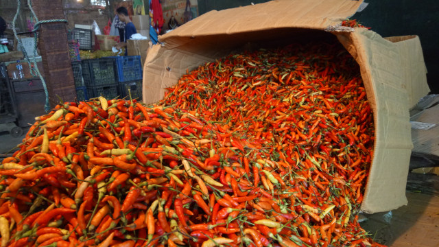 Harga Cabai di Pasar Talang Banjar Rp 95 Ribu Per Kg